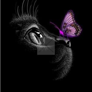 panneau polyester chat papillon violet