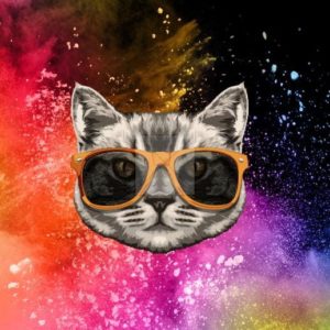 panneau polyester chat multicolore