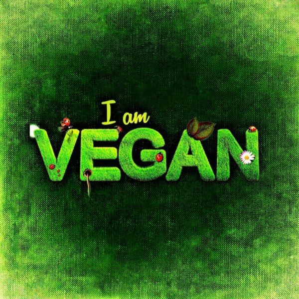 panneau simili vegan