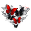 panneau simili papillons rouges et noires