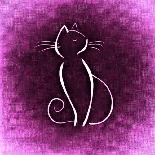 panneau velours chat violet