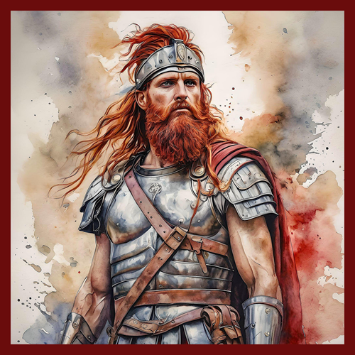 panneau velours viking