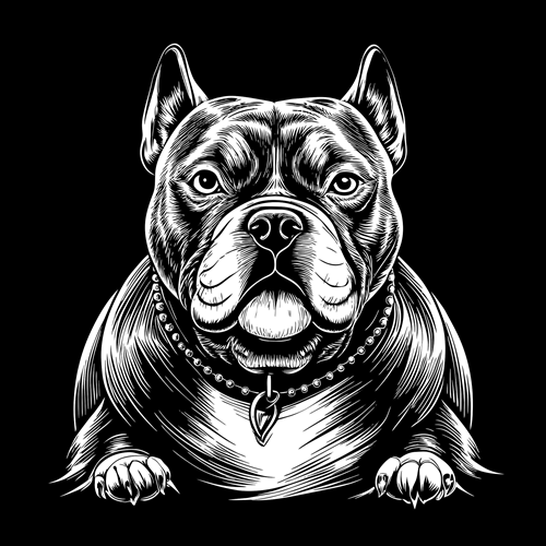 panneau velours chien